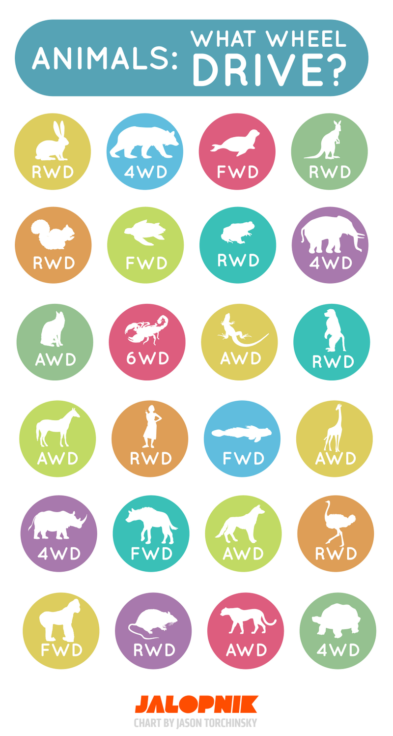Illustration for article titled This Infographic Tells You If Your Favorite Animal Is RWD, FWD Or AWD